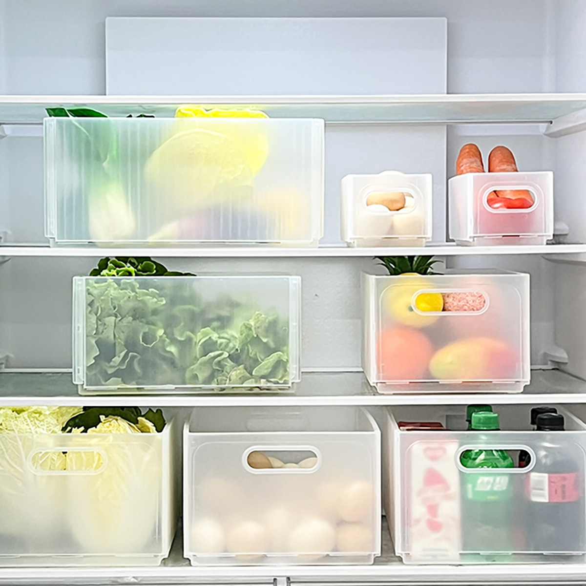 WORTHBUY Kotak Penyimpanan Kul - Xxl Food Storage Container ulasan dan harga