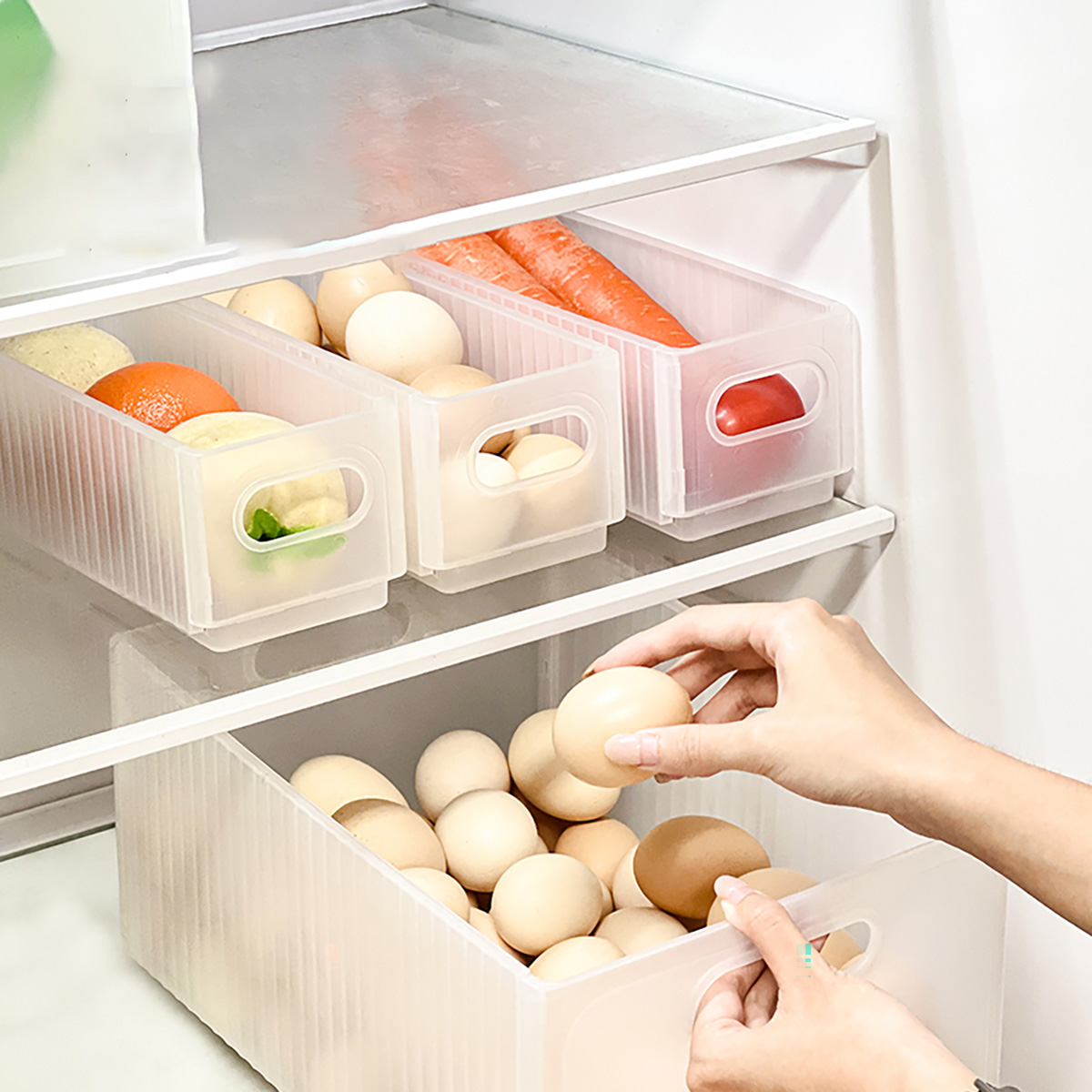WORTHBUY Kotak Penyimpanan Kul - Xxl Food Storage Container ulasan dan harga
