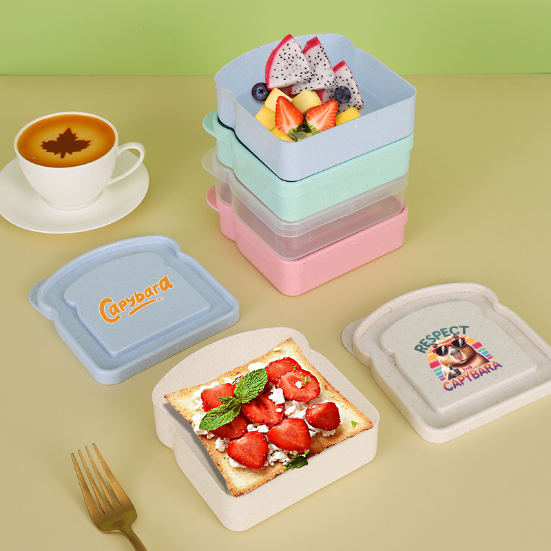 Kotak Penyimpanan Makanan Sand - Food Storage Box Plastic ulasan dan harga