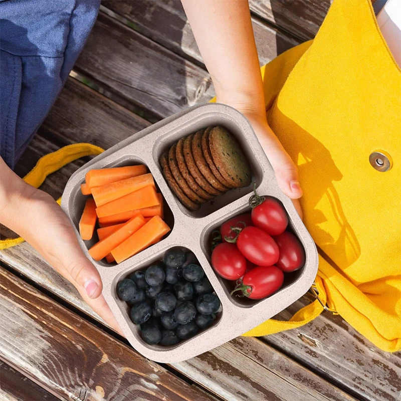 Kotak penyimpanan makanan 4 ki - Food Storage Freezer ulasan dan harga