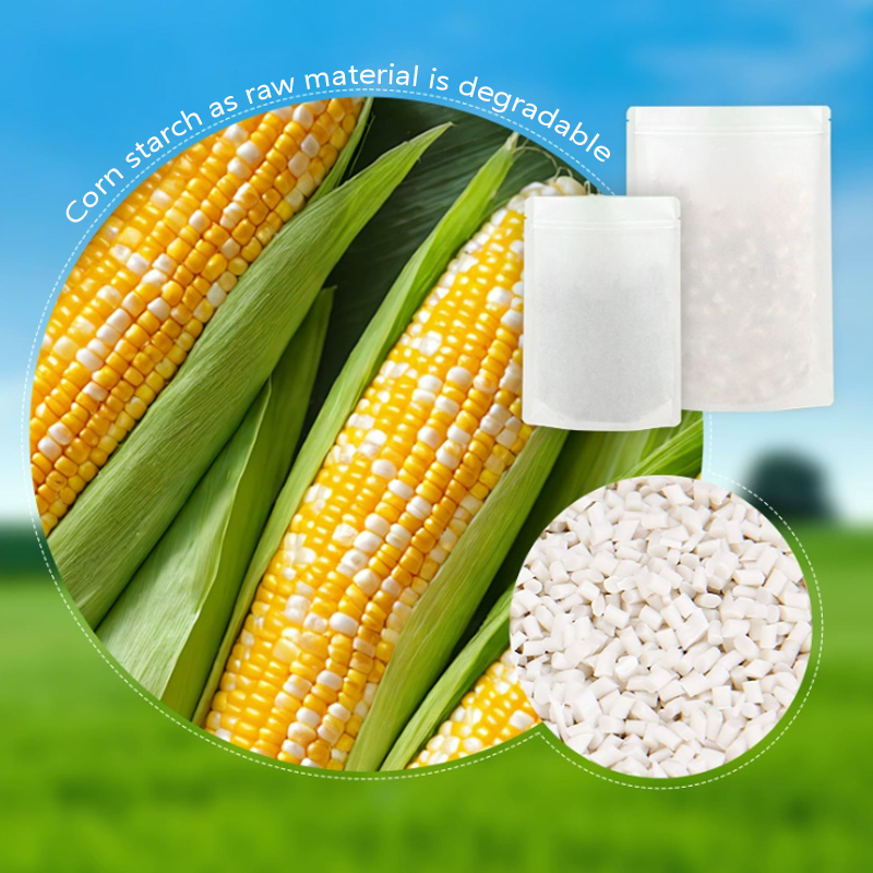 Kantong Kertas Kraft Ramah Lin - Food Storage Plant ulasan dan harga