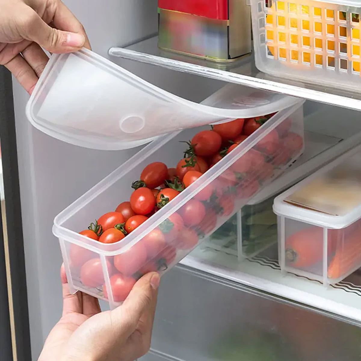1 Kotak Penyimpanan Plastik Tr - Food Storage Box Plastic ulasan dan harga