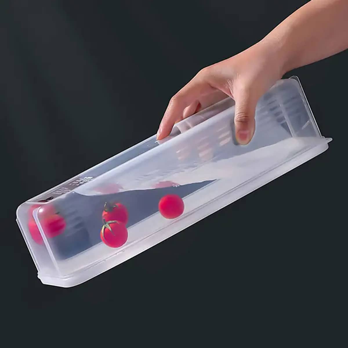 1 Kotak Penyimpanan Plastik Tr - Food Storage Box Plastic ulasan dan harga